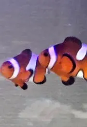 ユウさんの画像