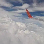 シュワッチの画像
