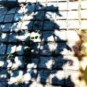 Kの画像
