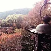kyuuの画像