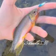 Asuka工房の画像