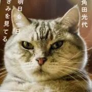 琥珀の画像