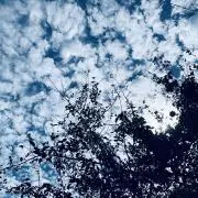 ヒッピーの画像