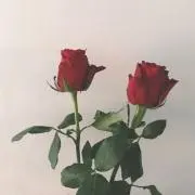 とも