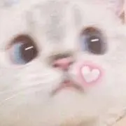 ゅゅ