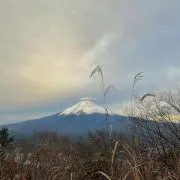 Naraの画像