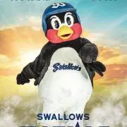 クックの画像