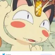 ニャースの画像
