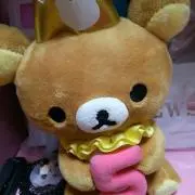 さぴにゃんの画像