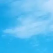 ぴよの画像