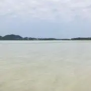 海人の画像