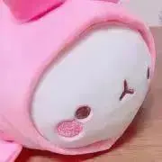 Moranの画像