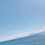 Saiの画像