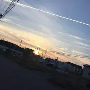 ぐちゃんの画像