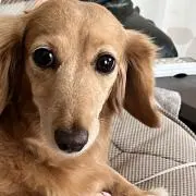 ひろの画像