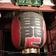 くんちゃんの画像