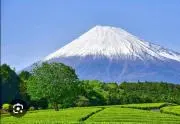 山田⛰️の画像