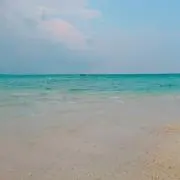 おだつの画像