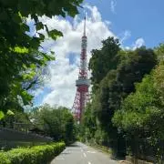 秋の画像