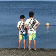 タラテレの画像