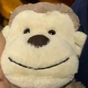 がんもの画像