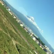 はっしゅの画像