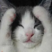 ちよみの画像