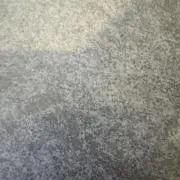 タンタンの画像