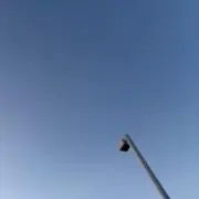 syの画像