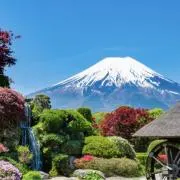 中国美術 七宝焼 玉石瑪瑙翡翠彫刻盆栽置物 - メルカリ