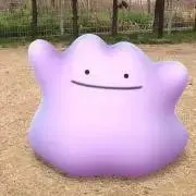 hokutoの画像