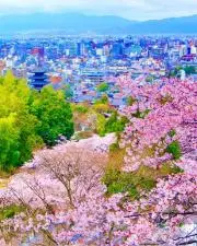 harukaの画像