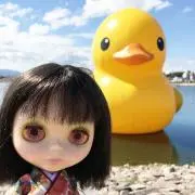 くるみの画像