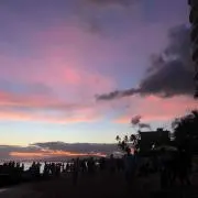 りんごの画像