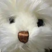 断捨離中の画像