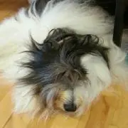 Kokon☆