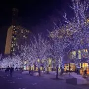 セイの画像