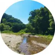 フォローで割引の画像