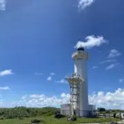 玲の画像