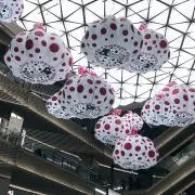 アカシ