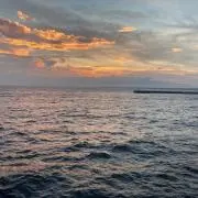 Alfhaの画像