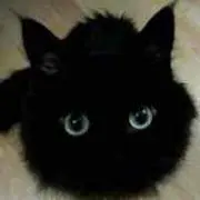 こりえ☆断捨離中の画像