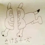 ヒカルぱいせん