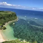 toruの画像