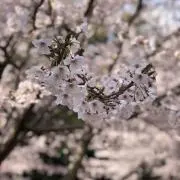 Image of すーさん