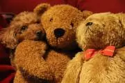 teddy18の画像