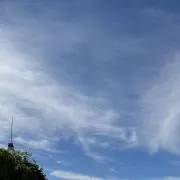 あおの画像