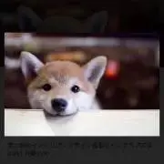 ゆりの画像