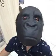 atomgorillaの画像