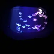 めにこの画像